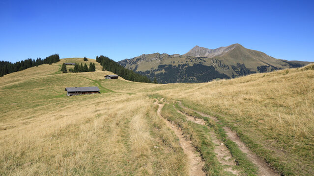 Foot path on Mount Wispile, Gstaad.