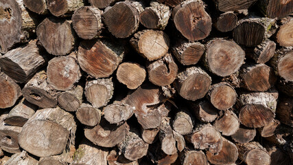 wood firewood