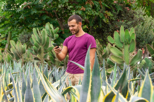 Young male gardener using smartphones takes orders and takes photos of plants to process customer orders in a garden among agaves and cacti. Sale of ornamental plants in the garden center, plantation.