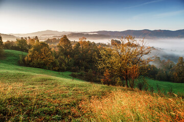 Naklejka na ściany i meble autumn scenery,morning foggy landscape in northeastern Bosnia