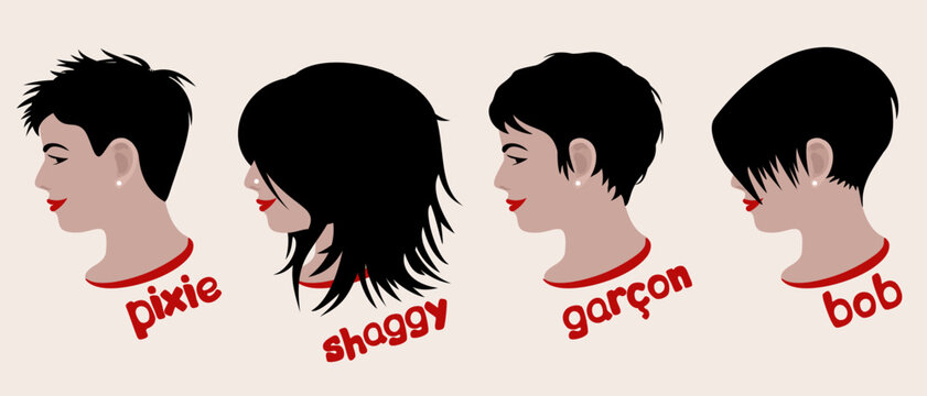 Woman's Various Hairstyles. Pixie, Shaggy, Garcon, Bob. Vector Collection Isolated On Light Background.