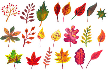 Obraz premium Set of multicolored watercolor autumn leaves. Hand drawn illustration.