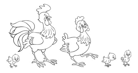 Chicken family. Cockerel, hen and three funny chickens. In cartoon style.  Black and white picture for coloring book. Isolated on white background. Vector illustration.