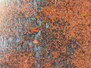 rusty metal background