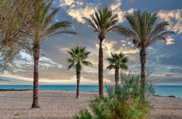 Fototapeta na wymiar Palm trees against the sky during sunset, Spain