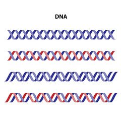 DNA (deoxyribonucleic acid)