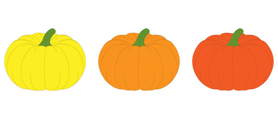 Pumpkins of different colors (yellow, orange, red).	