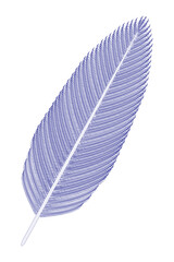 Bird Feather (blue).	