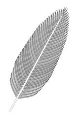 Bird Feather (gray).	