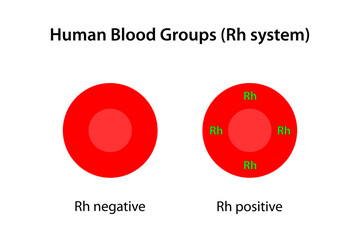 Human blood groups, Rh system	 - obrazy, fototapety, plakaty