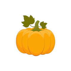 Orange pumpkin with green leaves isolated on white background.Vector illustration