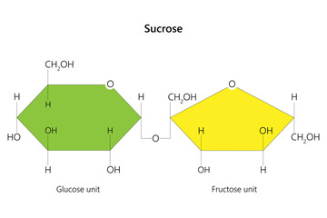 Sucrose, a disaccharide, is a sugar composed of glucose and fructose subunits.	 - obrazy, fototapety, plakaty