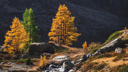 autumn in the mountains