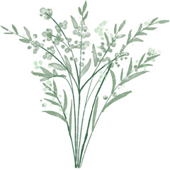 Bouquet Elements and illustration
