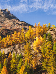 autumn in the mountains