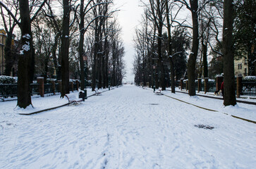 Un viale alberato di Venezia coperto dalla neve in un giorno d'inverno - obrazy, fototapety, plakaty