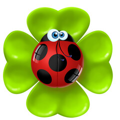 coccinella sul quadrifoglio