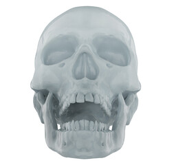 3D Skull Low Poly Render Transparent Background