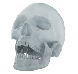 3D Skull Low Poly Render Transparent Background