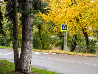 pedestrian crossing on the forest road