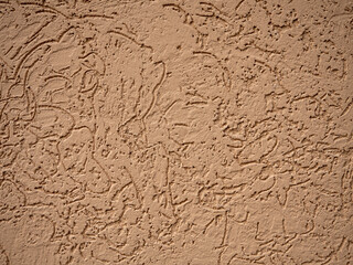 brown texture bark beetle for background