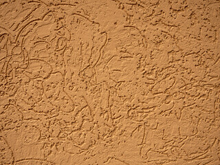 texture bark beetle for background