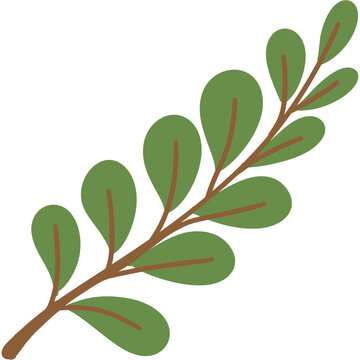 Leaf Elements and illustration