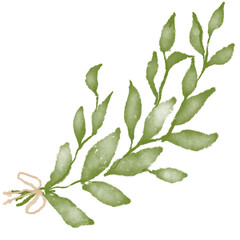 Leaf Elements and illustration