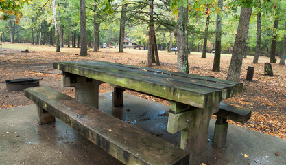 Devils Den State Park, Arkansas, wooded picnic table in the campground