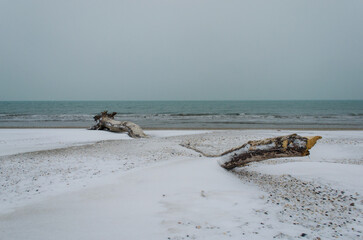 La spiaggia del Lido di Venezia con un tronco d'albero coperto dalla neve in una fredda giornata invernale