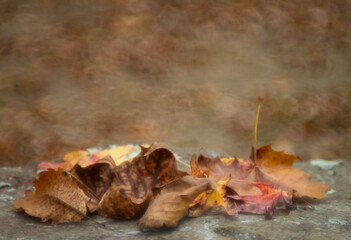 Autumn background, leaves with bokeh copy space for fall or thanksgiving, harvest
