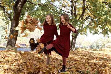 Caucasian child siblings having fun in the woods