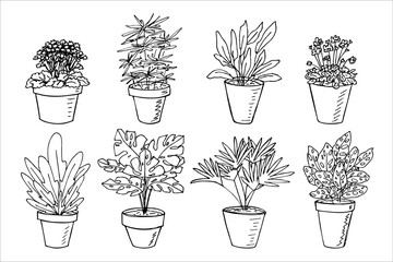 Cute hand drawn houseplant in a pot clipart. Plant illustration. Cozy home doodle set