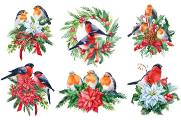 Christmas clipart. Birds on an isolated white background, watercolor floral bouquet. Holiday decor for print