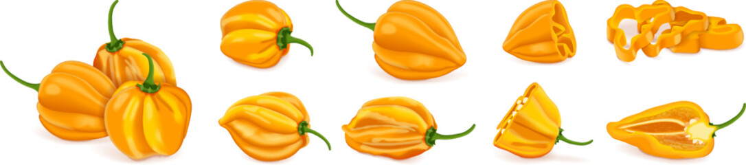 Set with whole, half, quarter, slices, and wedges of yellow habanero chili peppers. Capsicum chinense. Hot chili pepper. Fresh organic vegetables. Vector illustration isolated on white background. - obrazy, fototapety, plakaty