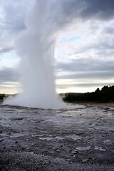 Geysir in island