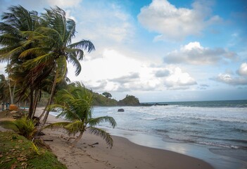 Fototapeta premium Sandy beach in an island on a windy day