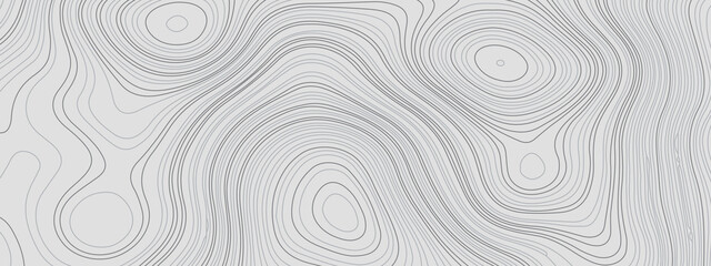 White and gray abstract topographic map contour, lines Pattern background. Topographic map and landscape terrain texture grid. Wavy banner and color geometric form. Vector illustration