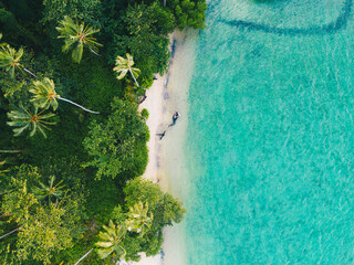 Tropical palm trees on the sandy beach and turquoise ocean from above.
