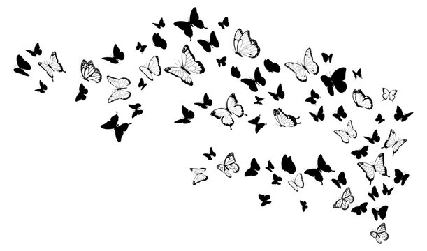 Flying black silhouettes of butterflies.Vector design element

