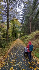 Obraz premium Mutter mit Kinderwagen in der Natur