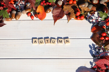 white wooden background with autumn leaves frame and text