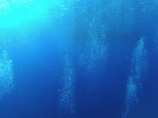 The Abstract Magic of Diving