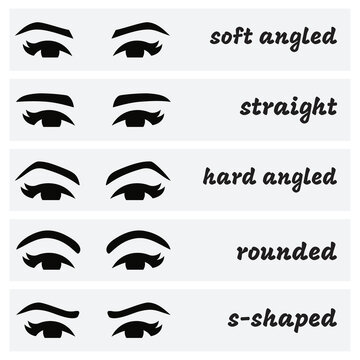 Eyebrows shapes Set. Various types of eyebrows. Makeup tips. Eyebrow shaping for women.Different thickness of brows.