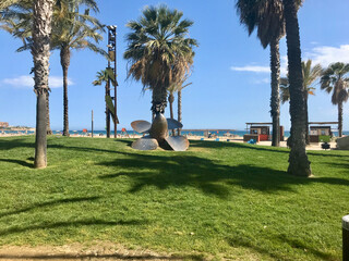 Salou, Spain, June 2019 - A group of palm trees on a lush green field