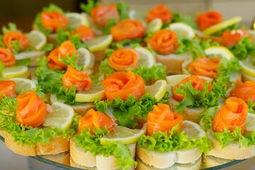 Appetizer canapés