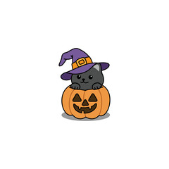 Cute halloween cat wearing a witch hat  in pumpkin cartoon, vector illustration