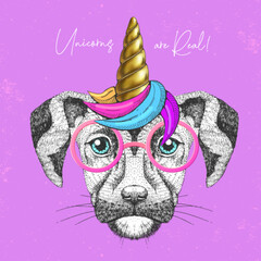 Handrawing animal dog wearing cute glasses with unicorn horn. T-shirt graphic print. Vector illustration