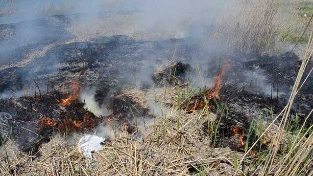 Accident, fire in the spring. Black smoke during the