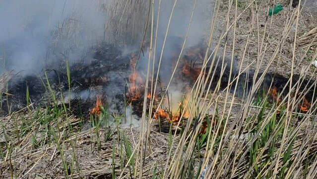 Accident, fire in the spring. Black smoke during the